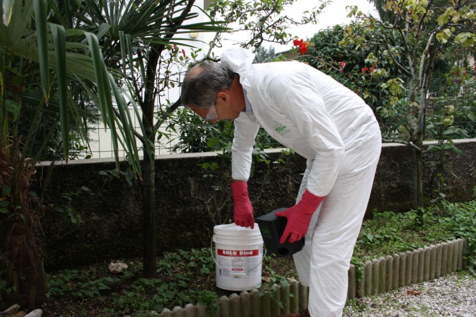 disinfestazione e derattizzazione