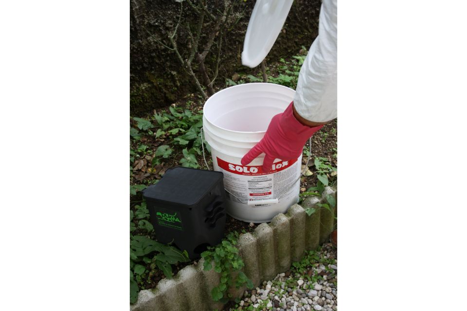 disinfestazione aree verdi