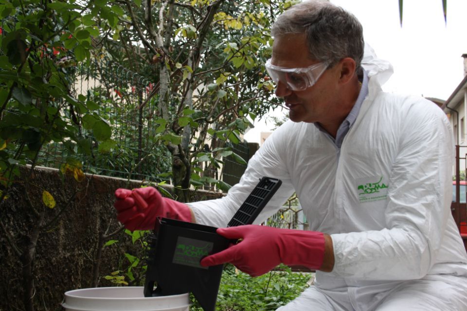 disinfestazioni controllate