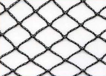 Bird Netting