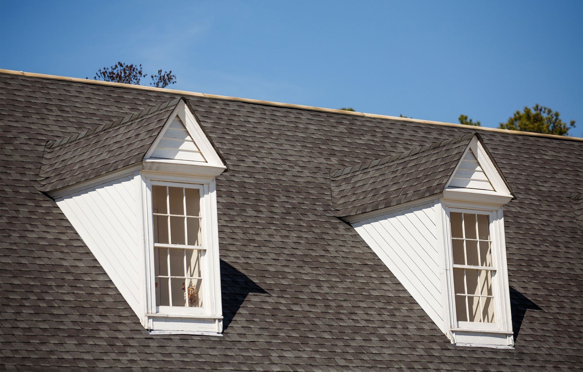 New Shingle Roof Gainesville, FL Ocala, FL