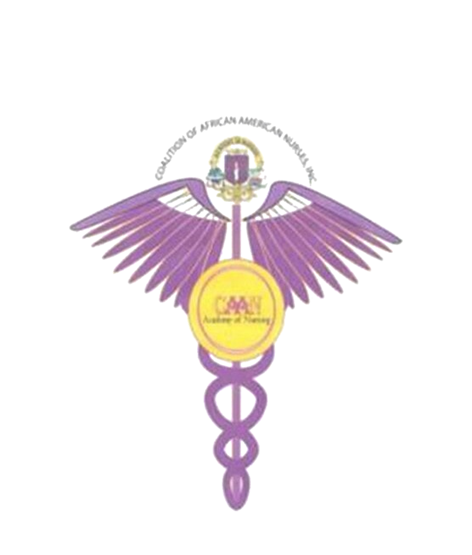 Nursing College L Matteson Il L Caan Academy Of Nursing