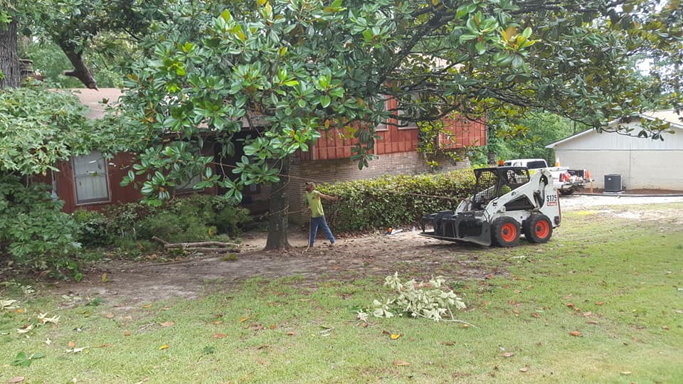 Tree Removal Services by JH Tree Services Enterprise, AL
