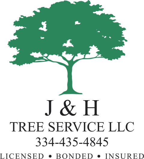 Tree Cutting & Removal Services - Enterprise, Dothan, Alabama - JH Tree