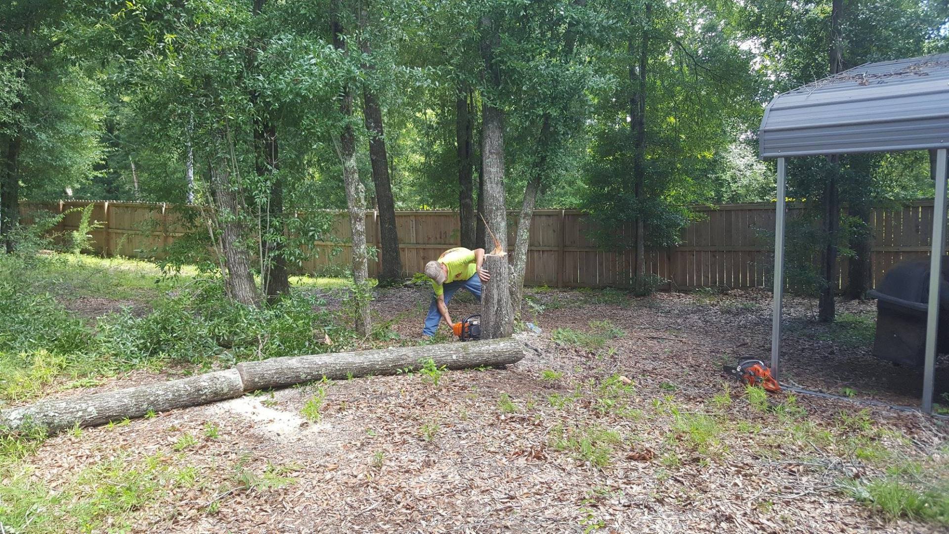 Tree Removal Services by JH Tree Services Enterprise, AL