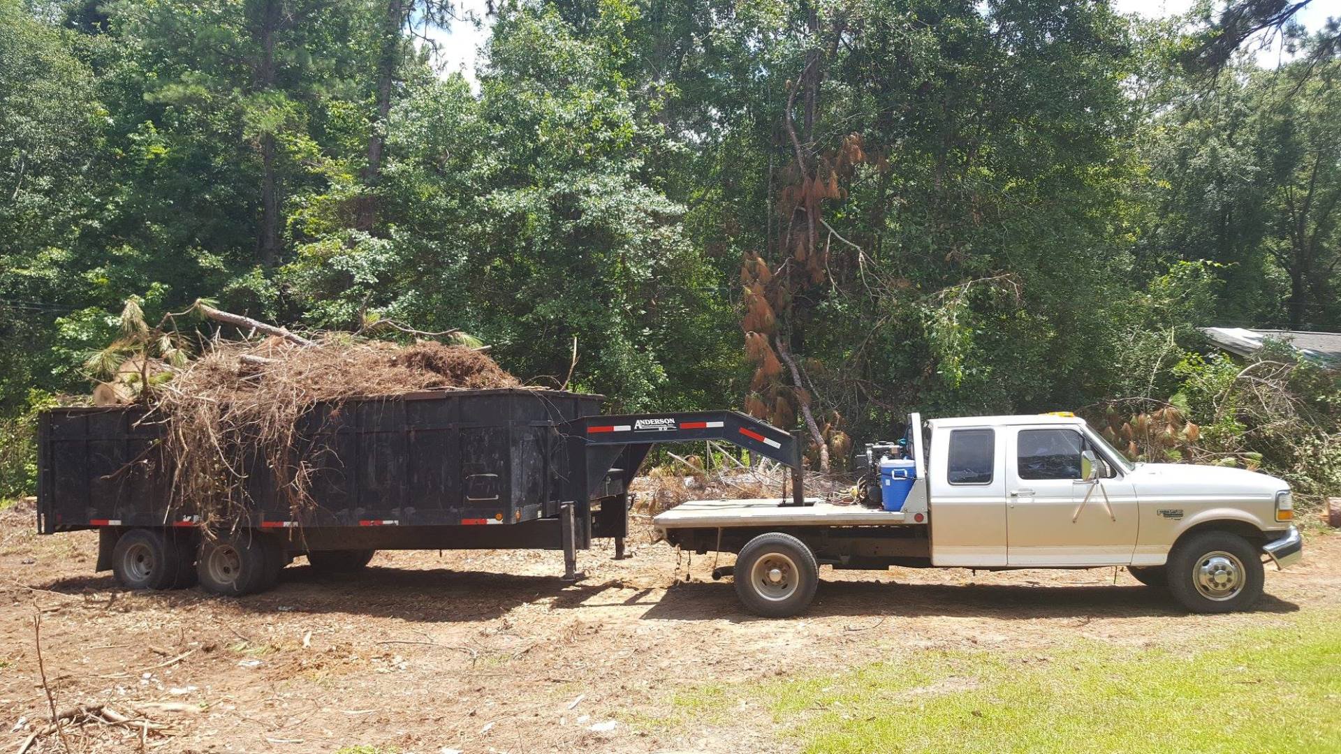 Tree Removal Services by JH Tree Services Enterprise, AL