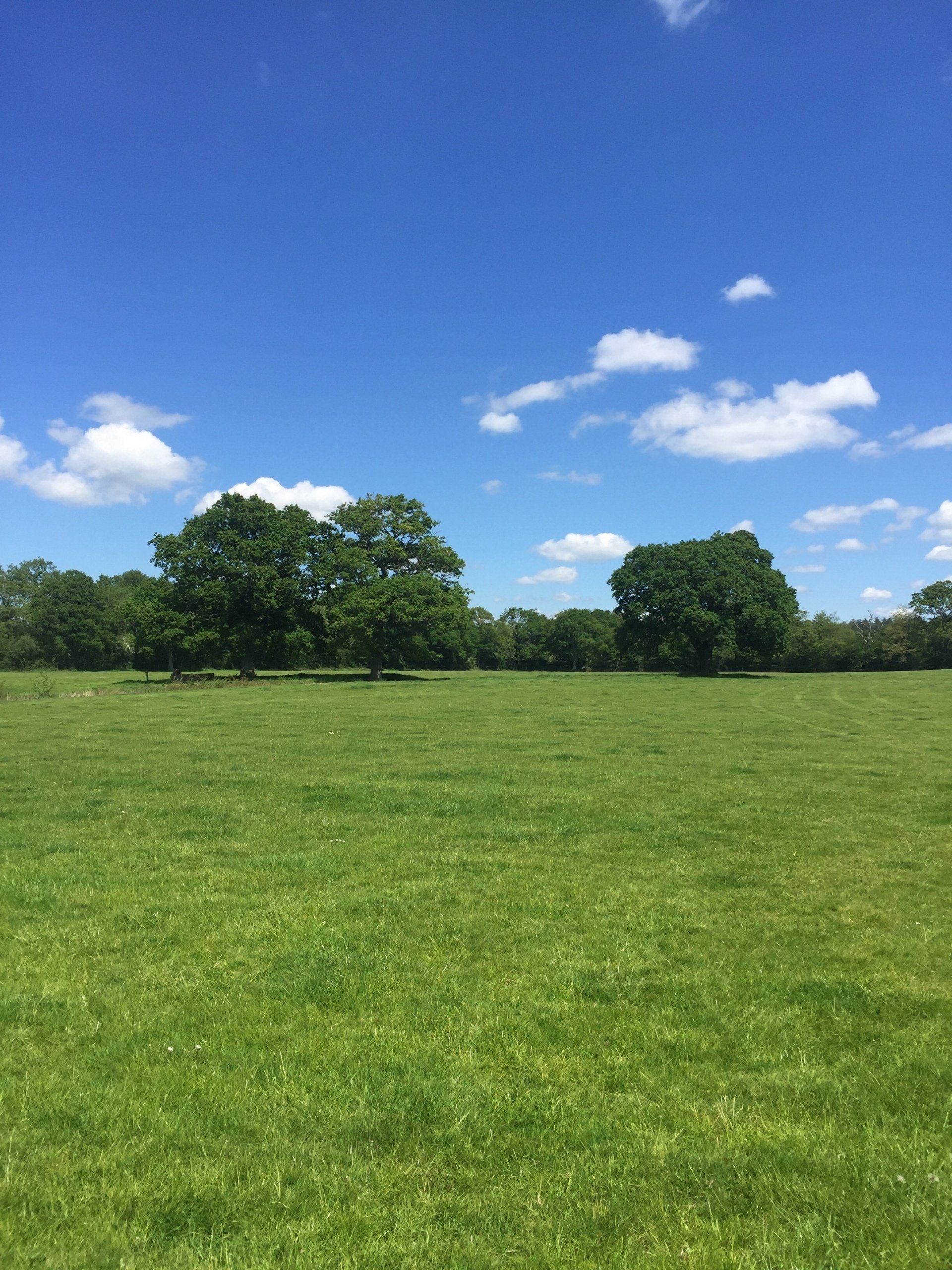 Snelling Farm Campsite — photo 8
