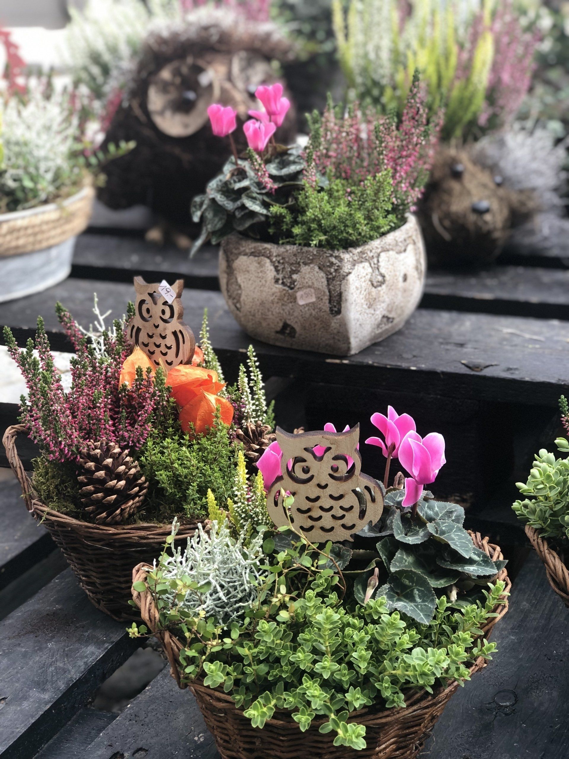 Blumen & So Ihr Blumenladen in Sollenau & Leobersdorf