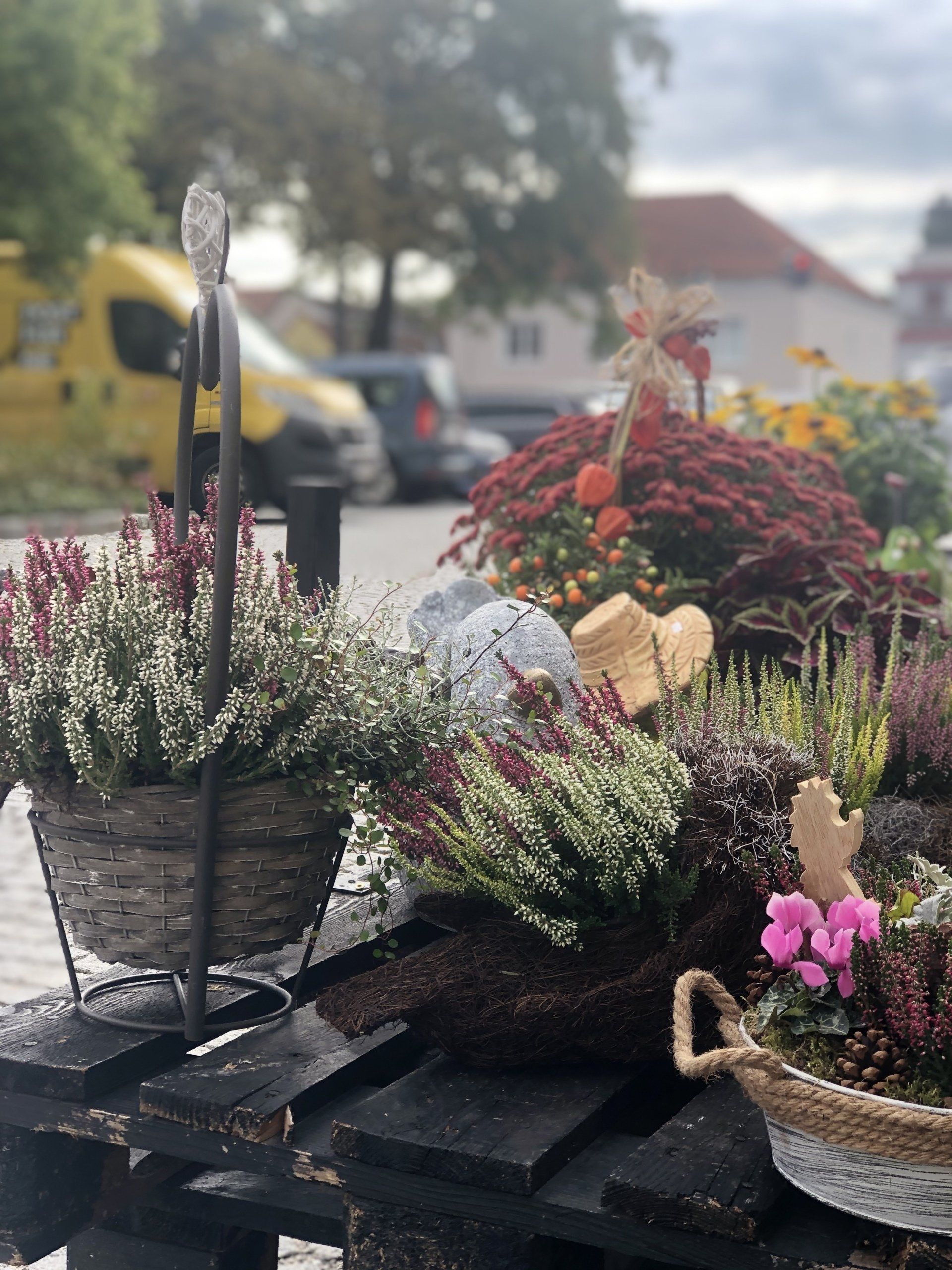 Blumen & So Ihr Blumenladen in Sollenau & Leobersdorf