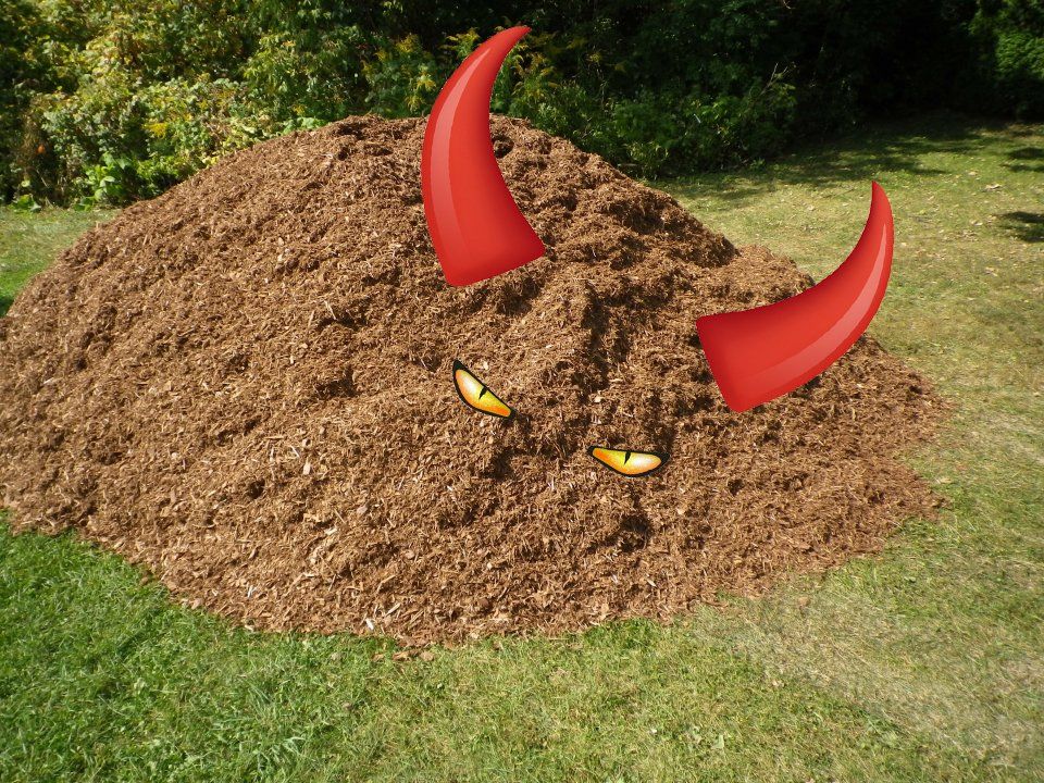 Q&A Can mulch spontaneously combust?
