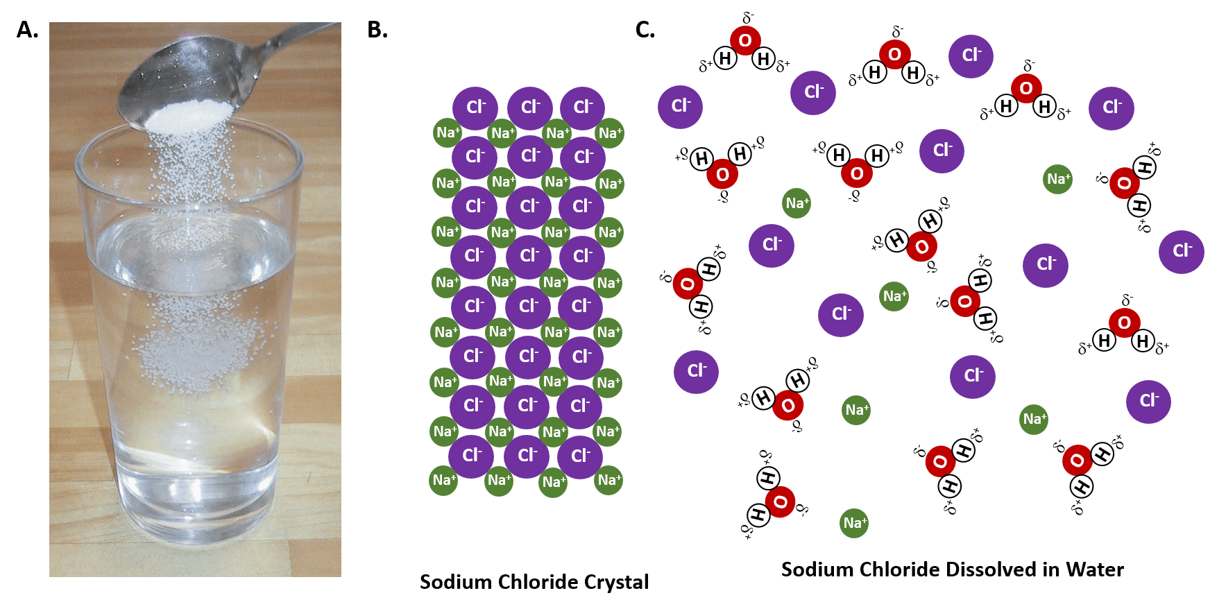 A Salt Dissolved In Water Forms