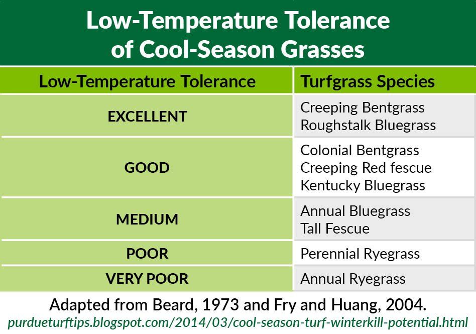 Winter Advisory! How Winterkill Affects Cool & Warm Season Turf
