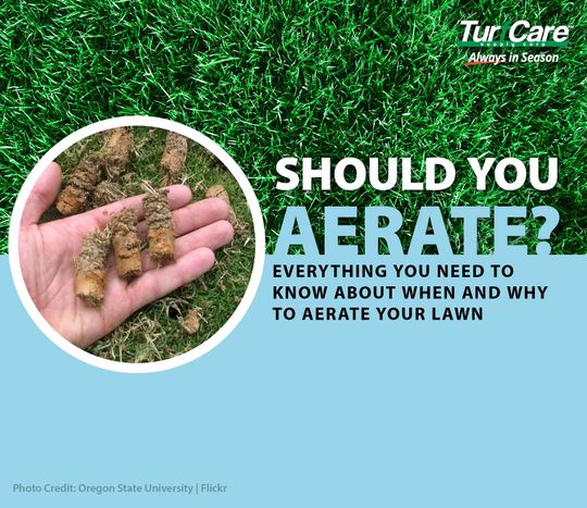 Should I Aerate? Everything You Need To Know About When And Why To ...