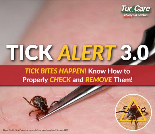 do tick bites itch for a long time