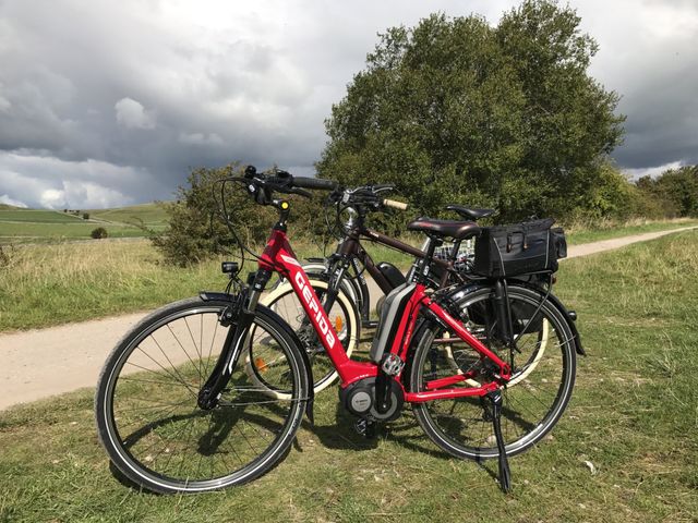 mersey bikes electric