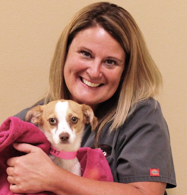 companion pet clinic aloha