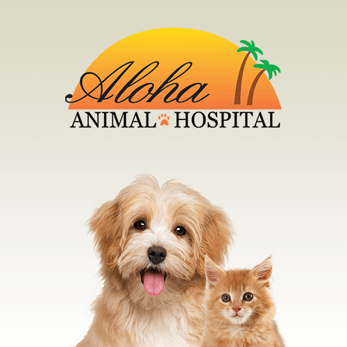 aloha pet clinic