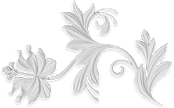 Julian Wolf LeVine Obituary - Philadelphia, PA | Monti ...