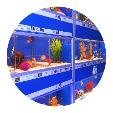 aquarium and pet shop near me