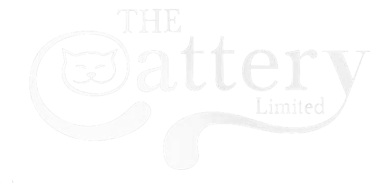 teddy bear hamster size