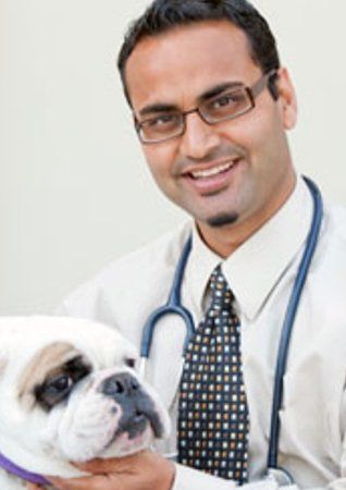 Our Staff Veterinary Services Emergency Vet In San Jose Ca Saratoga Veterinary Hospital