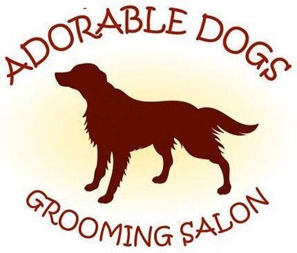 adorable dogs grooming salon