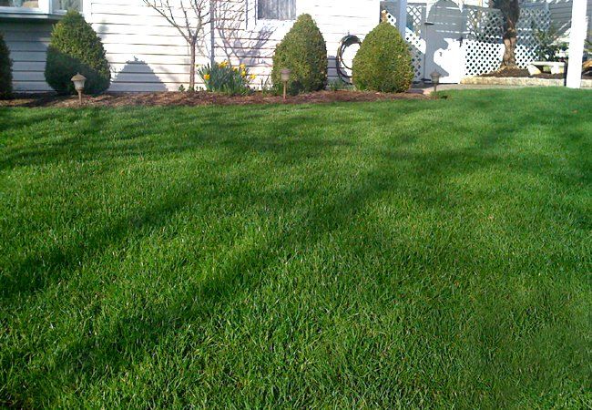 Grass Lawn Seeding Montgomery County PA