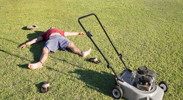 diy lawn care