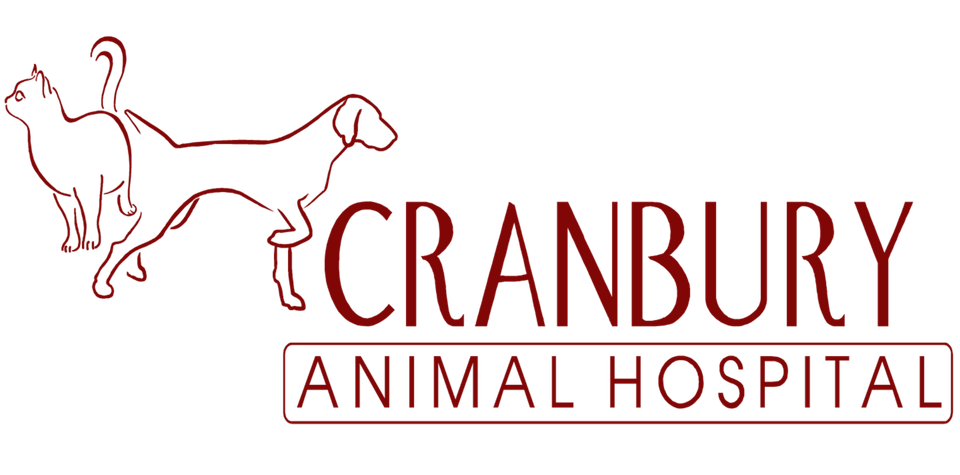 Veterinarian In Cranbury Nj Cranbury Animal Hospital
