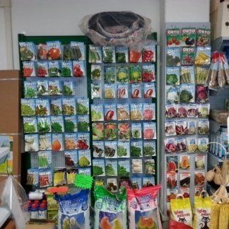 semi per piante da orto e vaso