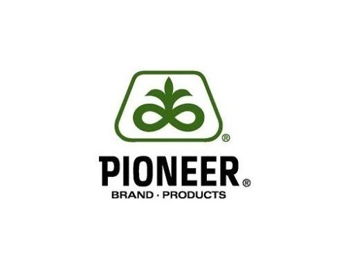 Pioneer