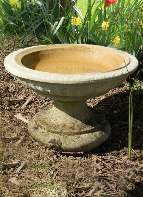 Beautiful Bird Baths in East Sussex