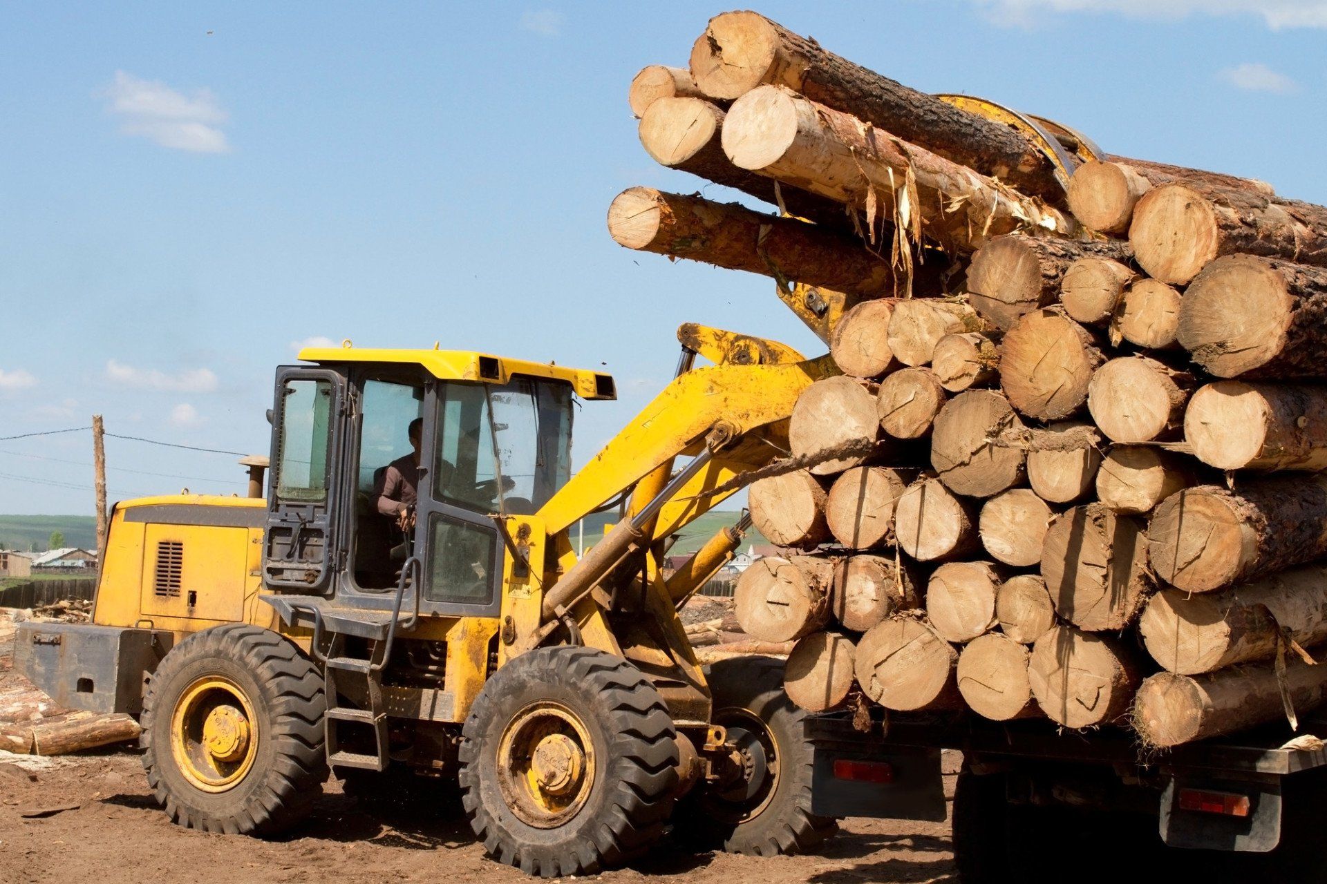 Quality logs and timber products by Flixton Sawmill Ltd