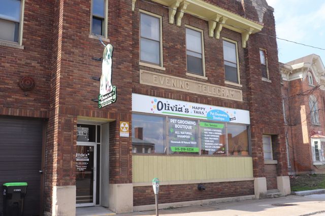 111 happy tails dog grooming