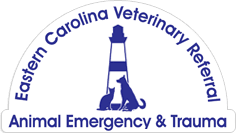 Animal Emergency - Wilmington, NC 