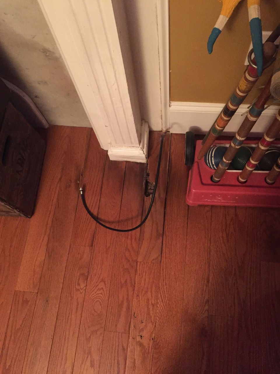 Baxter Pest Control Philadelphia pest control, ant, roache, Mice, Bed