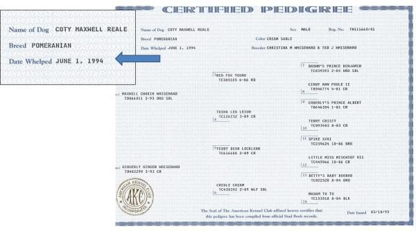 pedigree for pomeranian