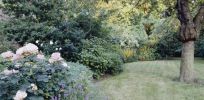 Well kept lawn