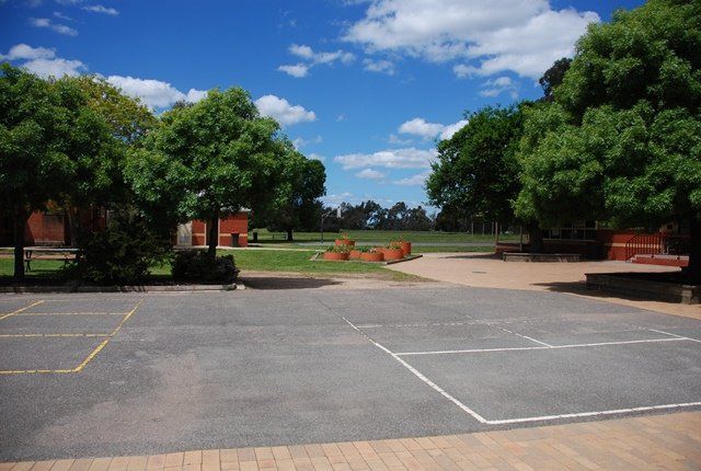 carisbrook basketball court