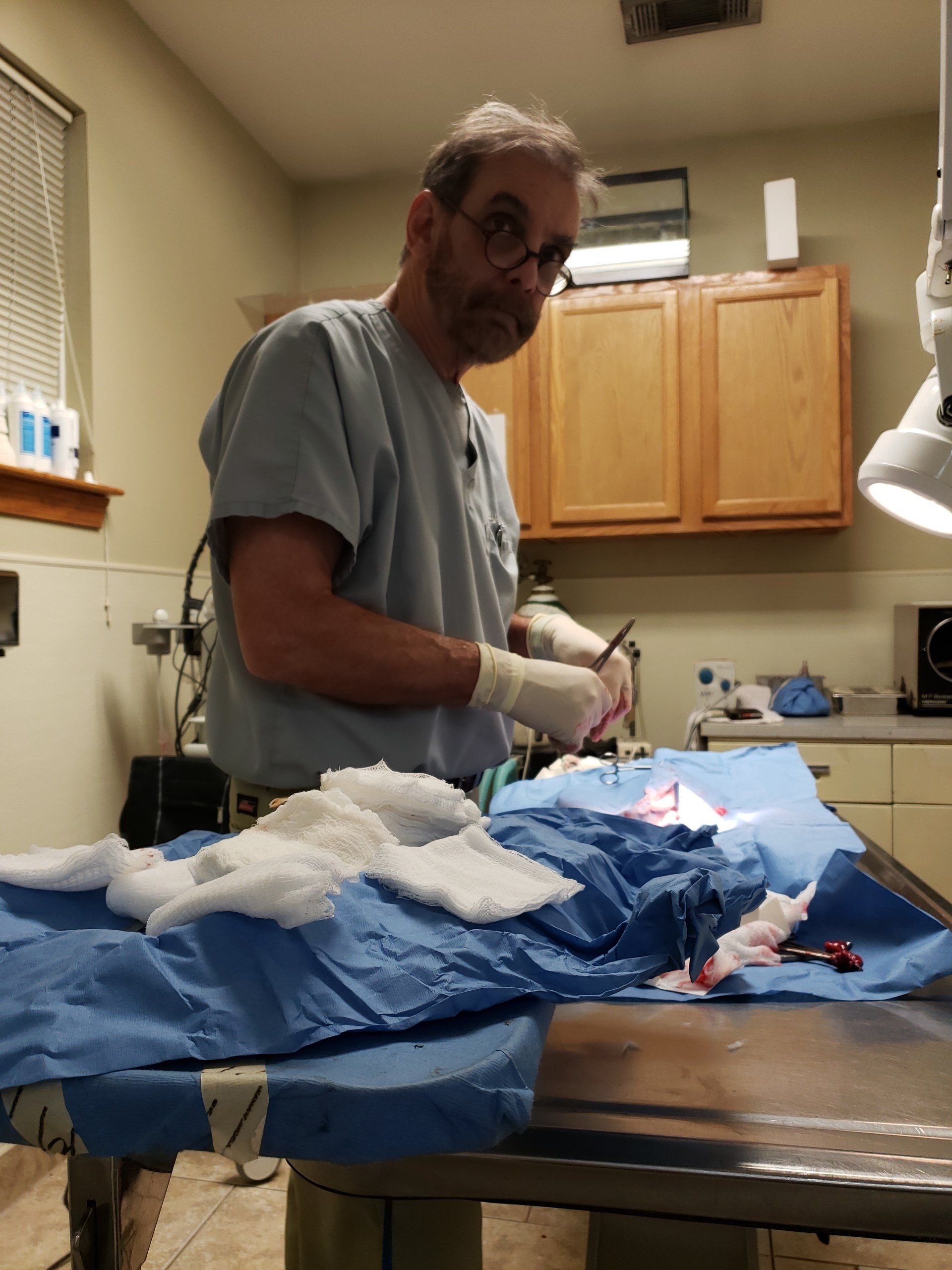 Veterinarian and Boarding Mandeville, LA Cypress Point Animal Hospital