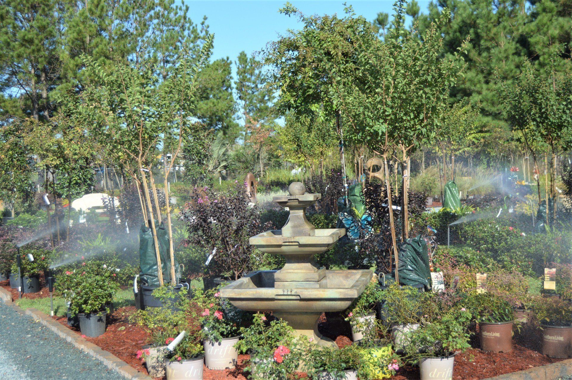 Nursery & Garden Center Leland, NC Bloomin' Crazy Nursery and More