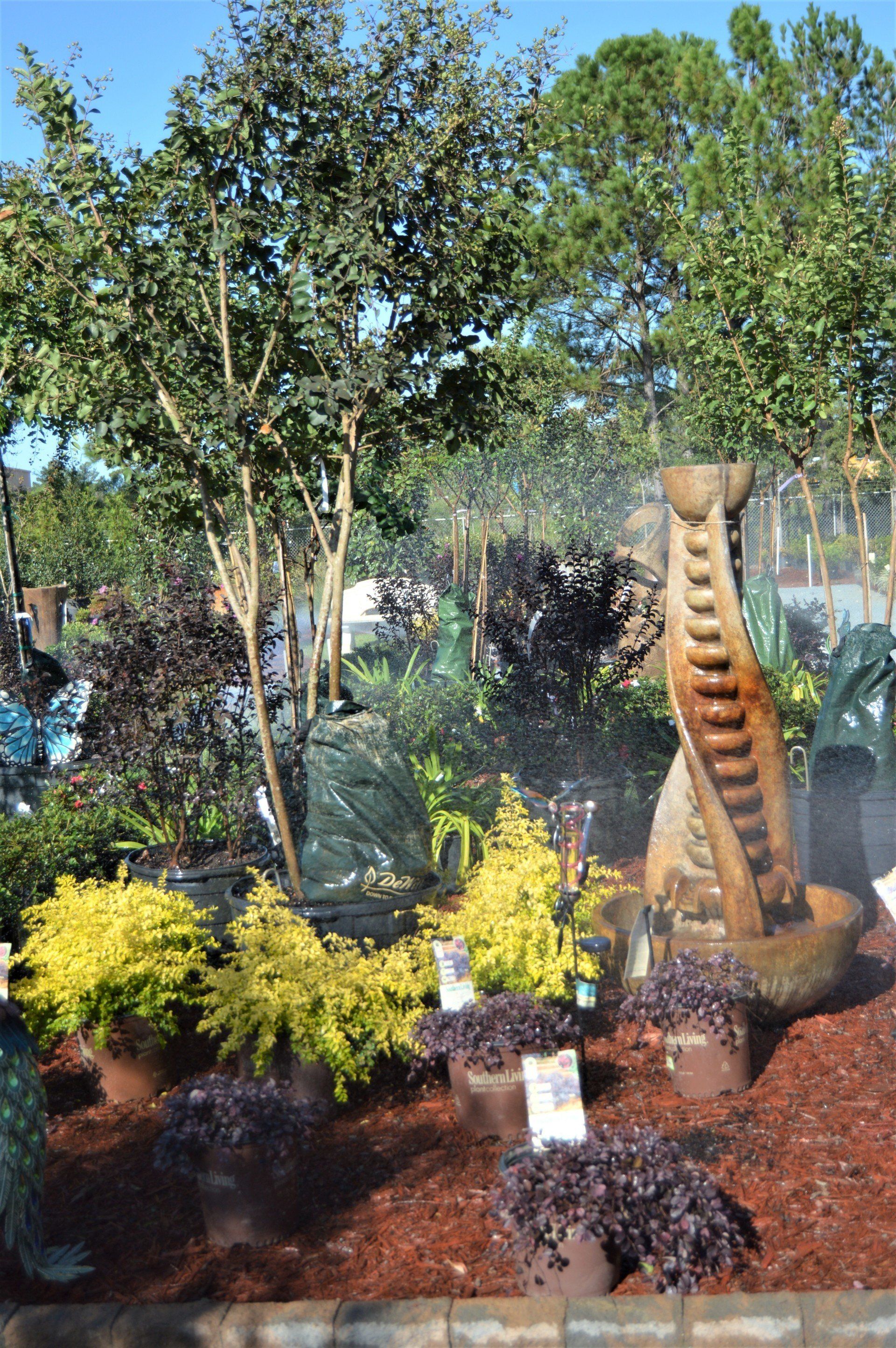 nursery-garden-center-leland-nc-bloomin-crazy-nursery-and-more