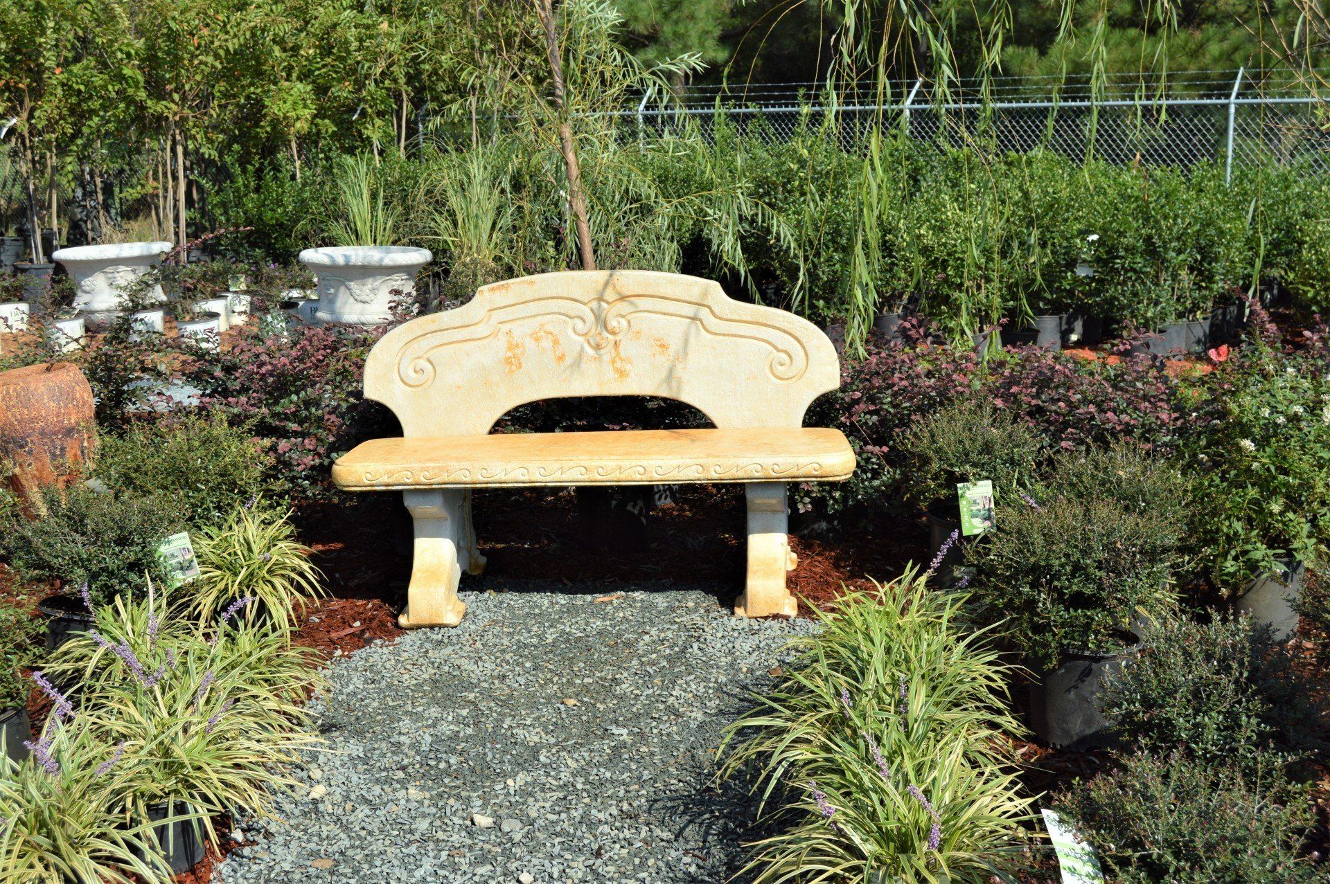 Nursery & Garden Center | Leland, NC | Bloomin' Crazy Nursery And More