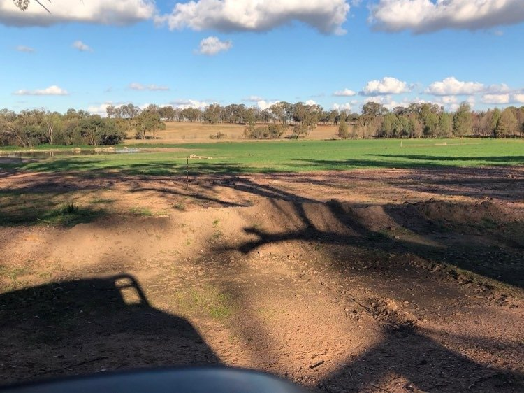 weaning paddocks for lambs