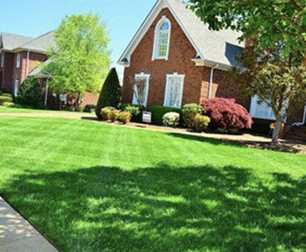 residential lawn service