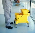 Cleaner with mop and bucket