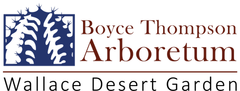 Boyce Thompson Arboretum