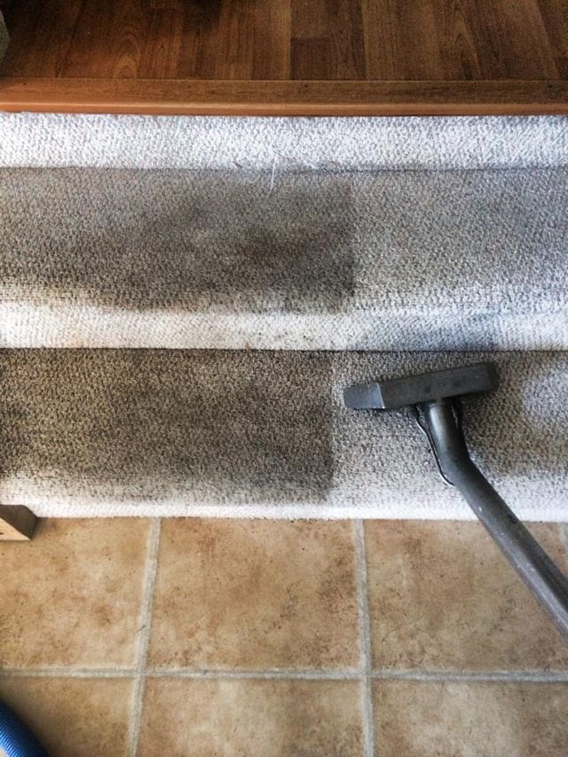 Carpet Cleaning Wilmington Nc World Class Steam Of Wilmington
