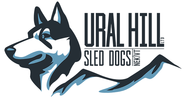 cavapoo potty training