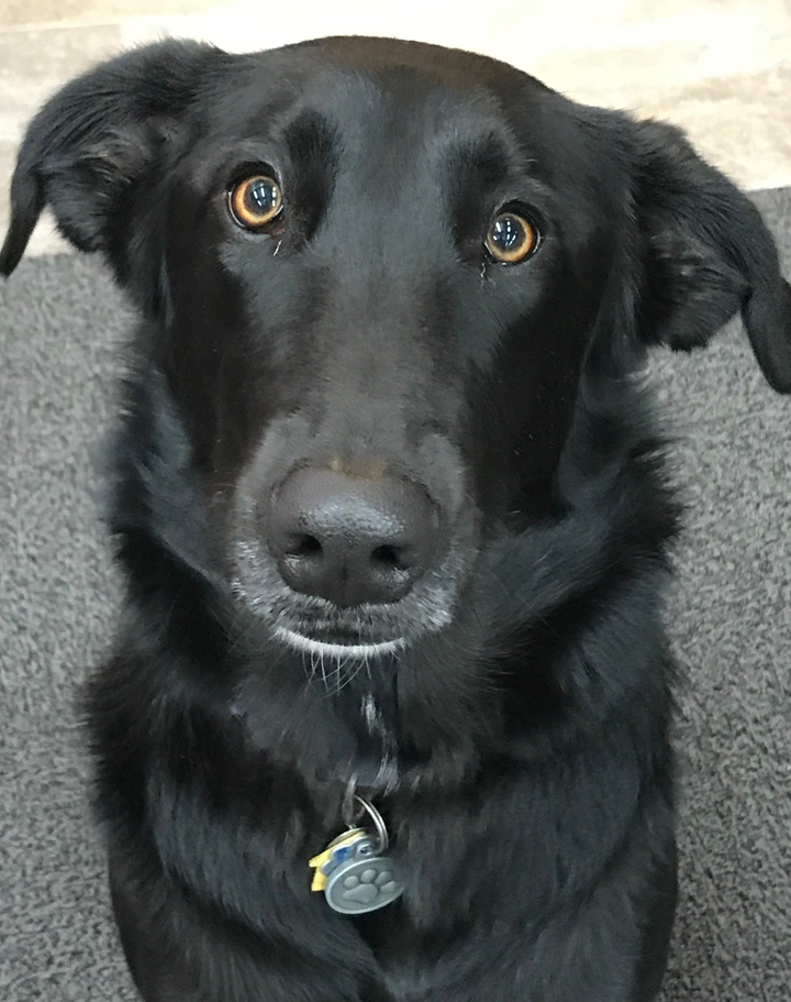 Rifles, Handguns, Shotguns, Ammo, Indoor Shooting Range Topeka, KS